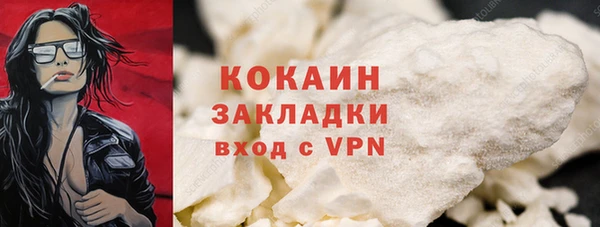 бошки Бронницы