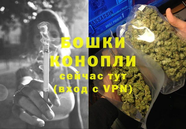 бошки Бронницы